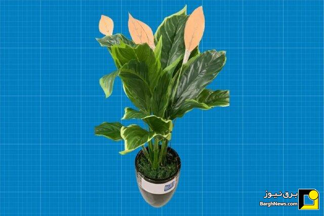 رونمایی از گیاه مصنوعی که انرژی باد و باران را به برق تبدیل می‌کند